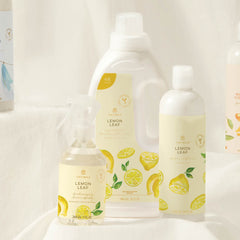 Lemon Leaf Concentrated Laundry Detergent