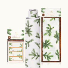Frasier Fir Giftwrap Bundle