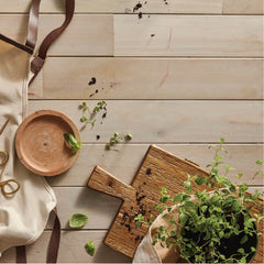 Fresh-Cut Basil Reed Diffuser Oil Refill