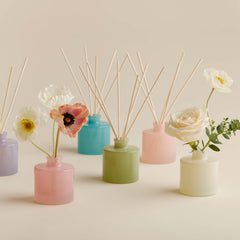 Eucalyptus Petite Reed Diffuser