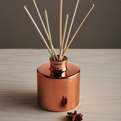 Simmered Cider Diffuser Bundle