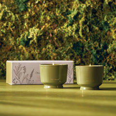 Outdoor Oasis Citronella Grove Aromatic Candle Set