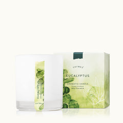 Eucalyptus Home Fragrance Trio