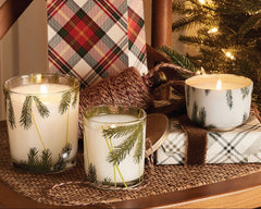 Frasier Fir 13 oz Pine Needle Poured Candle