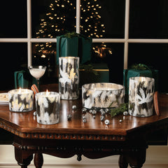 Frasier Fir Statement 13 oz Poured Candle